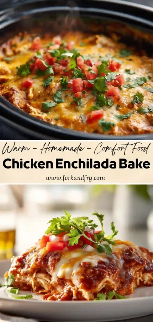 Slow cooker gluten-free enchilada casserole with chicken